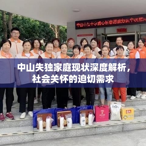 中山失独家庭现状深度解析，社会关怀的迫切需求