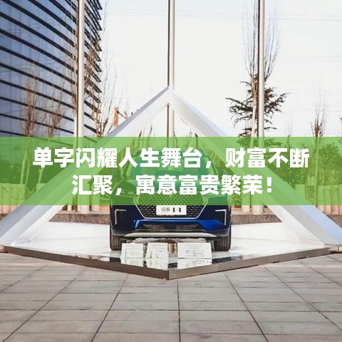 单字闪耀人生舞台，财富不断汇聚，寓意富贵繁荣！